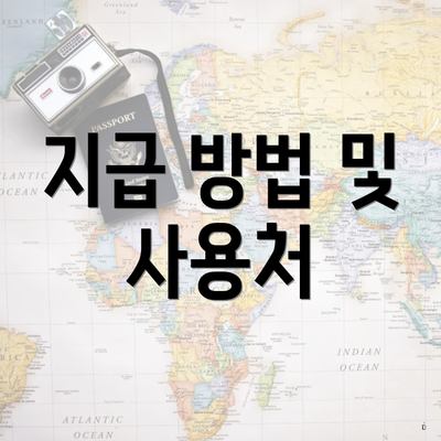 지급 방법 및 사용처