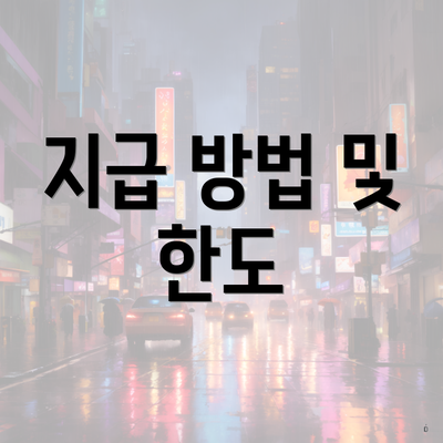 지급 방법 및 한도