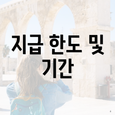 지급 한도 및 기간