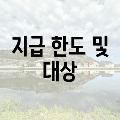 지급 한도 및 대상