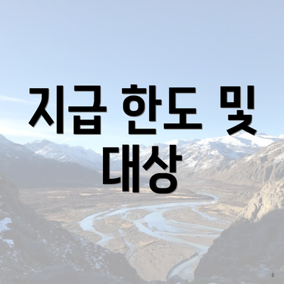 지급 한도 및 대상