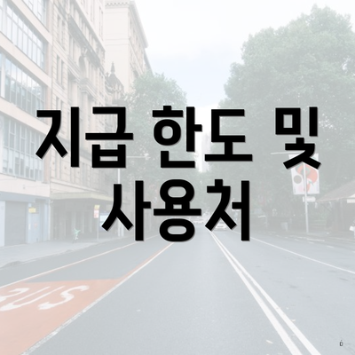 지급 한도 및 사용처