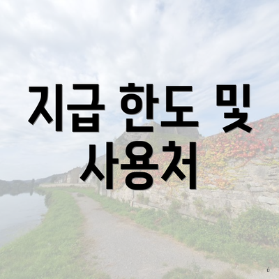 지급 한도 및 사용처