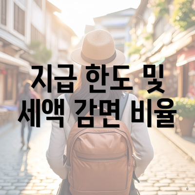 지급 한도 및 세액 감면 비율
