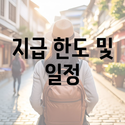 지급 한도 및 일정