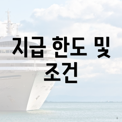 지급 한도 및 조건