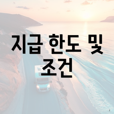 지급 한도 및 조건