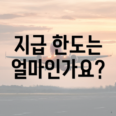 지급 한도는 얼마인가요?