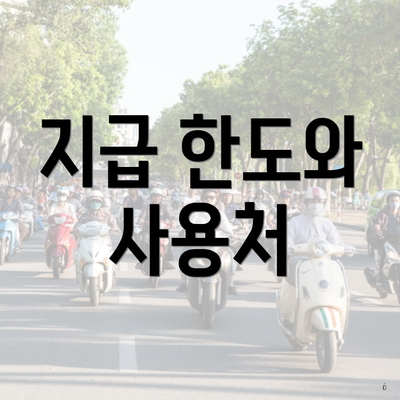 지급 한도와 사용처