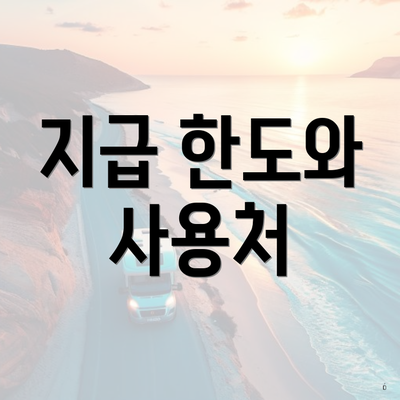 지급 한도와 사용처