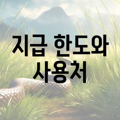 지급 한도와 사용처