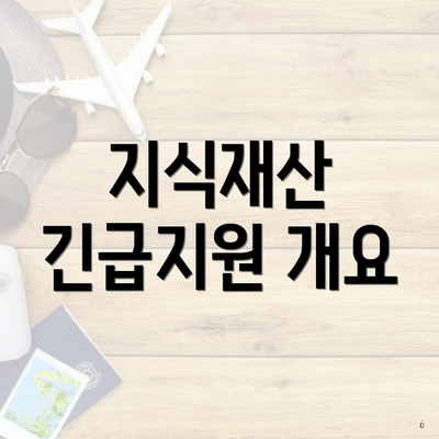 지식재산 긴급지원 개요