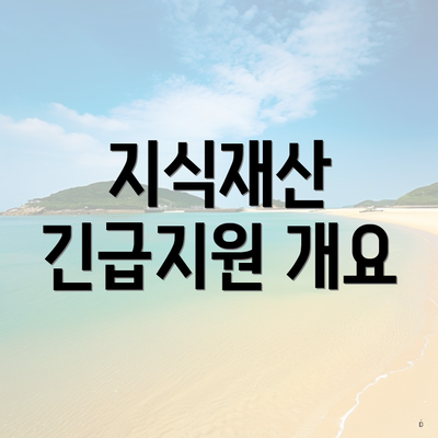 지식재산 긴급지원 개요