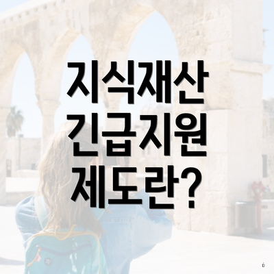 지식재산 긴급지원 제도란?