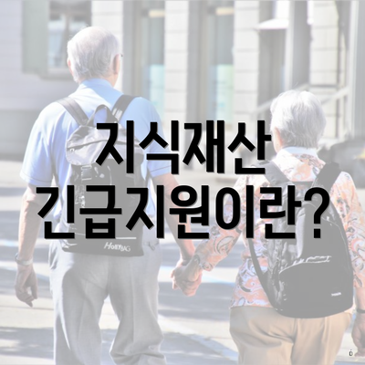 지식재산 긴급지원이란?