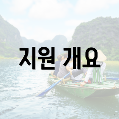 지원 개요