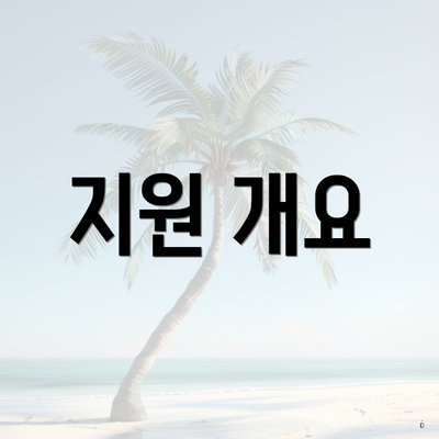 지원 개요