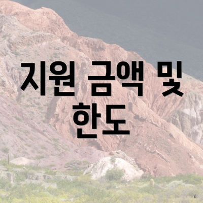 지원 금액 및 한도
