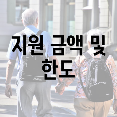 지원 금액 및 한도