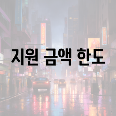 지원 금액 한도