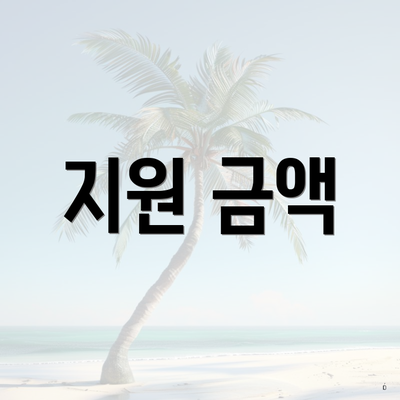 지원 금액