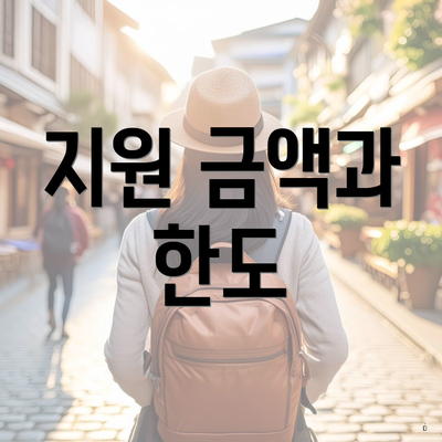 지원 금액과 한도