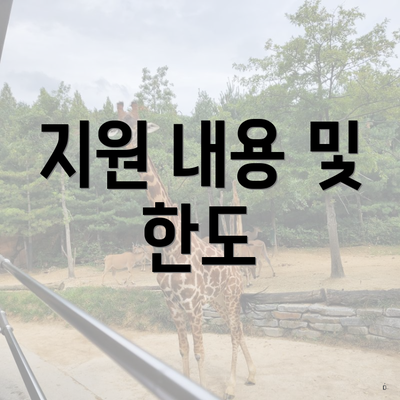 지원 내용 및 한도