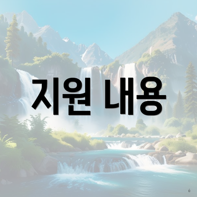 지원 내용