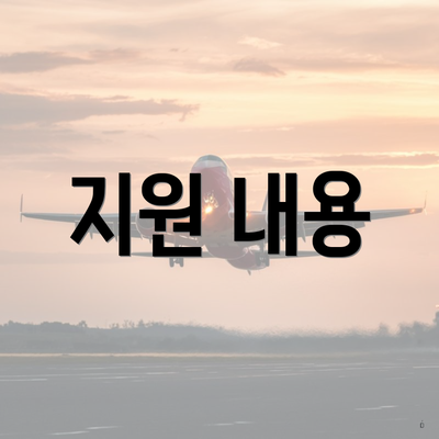 지원 내용