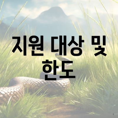 지원 대상 및 한도