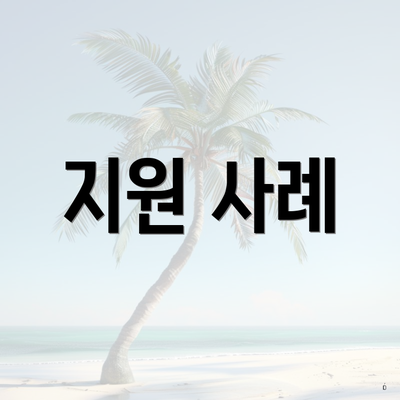지원 사례