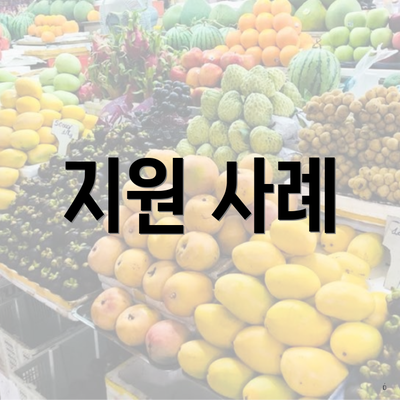 지원 사례