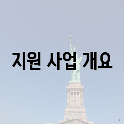 지원 사업 개요