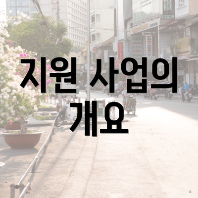지원 사업의 개요