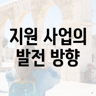 지원 사업의 발전 방향