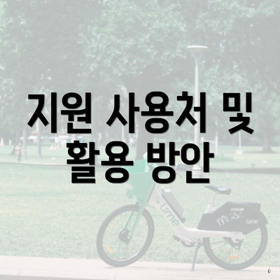 지원 사용처 및 활용 방안