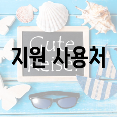 지원 사용처