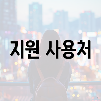지원 사용처