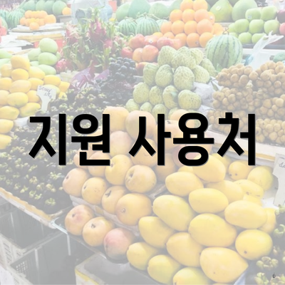 지원 사용처