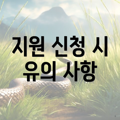 지원 신청 시 유의 사항