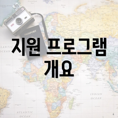 지원 프로그램 개요