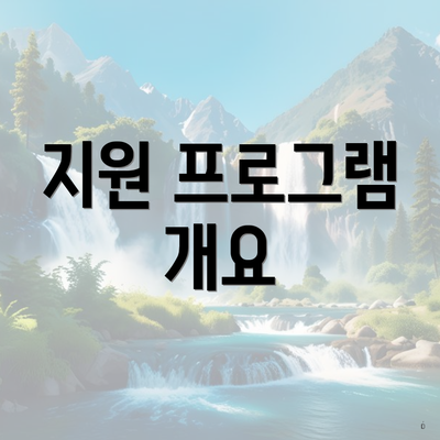 지원 프로그램 개요