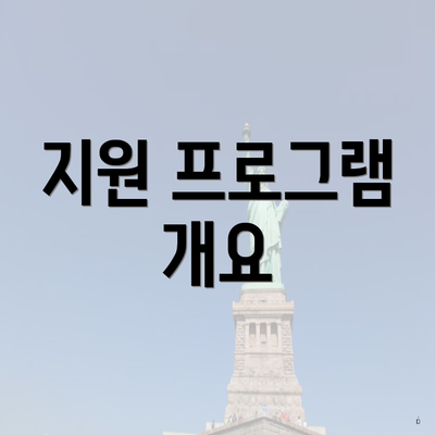 지원 프로그램 개요