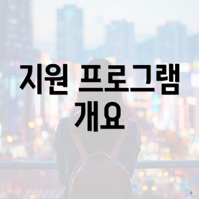 지원 프로그램 개요