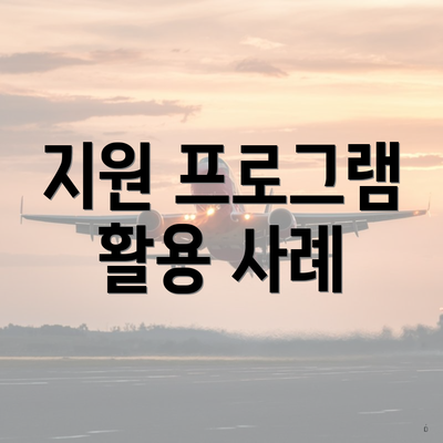 지원 프로그램 활용 사례