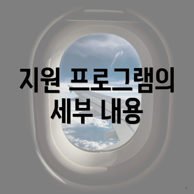 지원 프로그램의 세부 내용