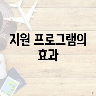 지원 프로그램의 효과