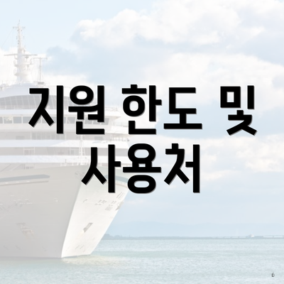 지원 한도 및 사용처