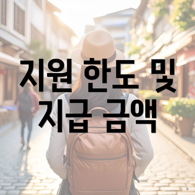 지원 한도 및 지급 금액
