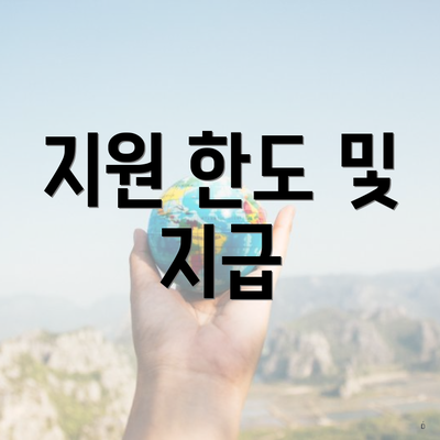 지원 한도 및 지급